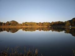 -贡湖湾湿地公园