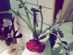 -美丽心情蛋糕(江苏路店)