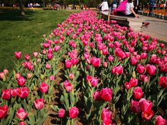 -长春公园(普阳街道)