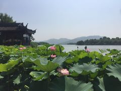 -湘湖大院(越王路店)