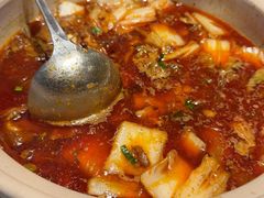 -杨氏青龙虾·羊蝎子(金盛路总店)