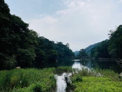 -青城山