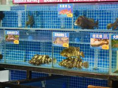 -陶缘一号·四季缘·老字号顺德菜·户外婚礼家宴(西滘店)