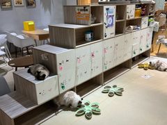 -藏猫猫咖啡主题馆(中央大道店)