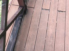-广州市流溪河国家森林公园