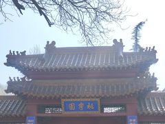 -桃花堤公园