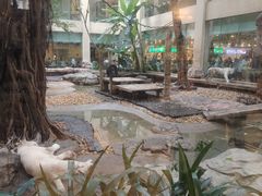 -麒麟中餐厅·经典粤菜·地道菜式老字号(广州长隆酒店)