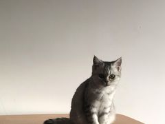 -汤乐汇•足道•SPA生活馆