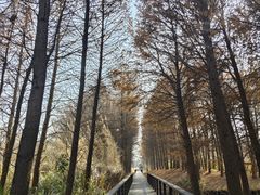 -苏州太湖国家湿地公园