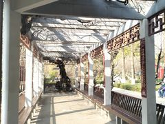 -郑和公园