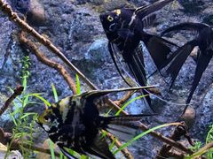 -上海海洋水族馆