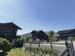 -大唐贡茶院