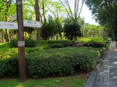 -白鹭洲公园