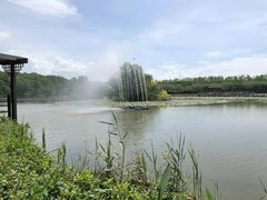 -大湾区中央湿地公园