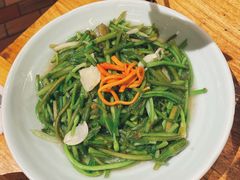清炒水性杨花-老滇山寨•云南特色菜•地方菜•民族风情歌舞表演(金碧店)