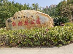 -大亚湾红树林城市湿地公园