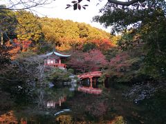 -醍醐寺