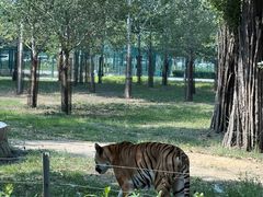 -秦皇岛野生动物园