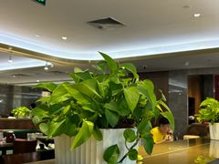 -鼎泰丰(国贸商城店)