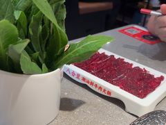 -八合里潮汕鲜牛肉火锅(广州五羊邨店)