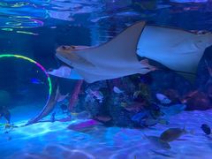 -沈阳海洋探索中心