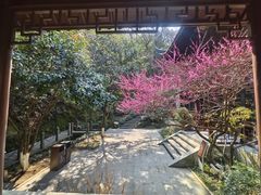 -十八棵（老龙井）御茶园(老龙井店)