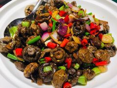 干羊肉炒蘑菇-九十九顶毡房(阜石路店)