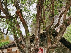 -村上春树
