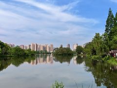 -洋湖国家湿地公园