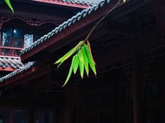 -望江楼公园