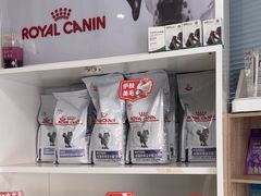 -瑞派福兴宠物医院犬猫全科·骨科·中西医结合(河东店)