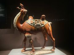 -洛阳博物馆