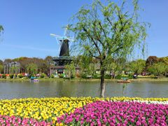 -上海鲜花港