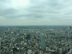 -东京都厅舍