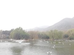 -西安秦岭野生动物园