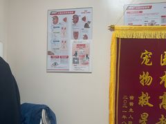 -瑞派·关忠动物医院·异宠专科·犬猫肿瘤·皮肤专科(望京店)