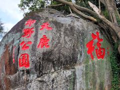 -天鹿湖森林公园