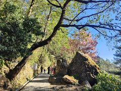 -苍山感通索道