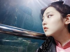 -太平洋海底世界博览馆·展览厅