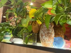-雅酌园·烟火南京菜(颐和路店)