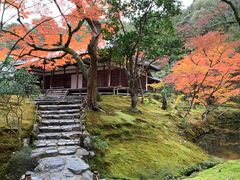 -西芳寺(苔寺)