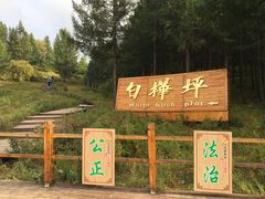 -塞罕坝国家级自然保护区