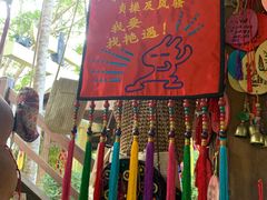 -西双版纳原始森林公园