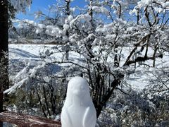 -瓦屋山景区