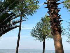 -捞渔河湿地公园