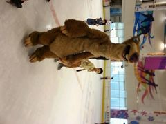 android_upload_pic-冠军冰场CHAMPION RINK(百联又一城店)