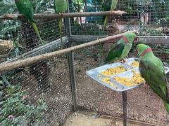 -大连森林动物园