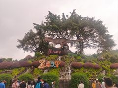 -自贡恐龙博物馆