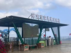 -呀诺达热带雨林