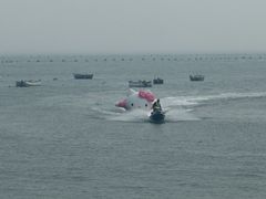 -小麦岛公园